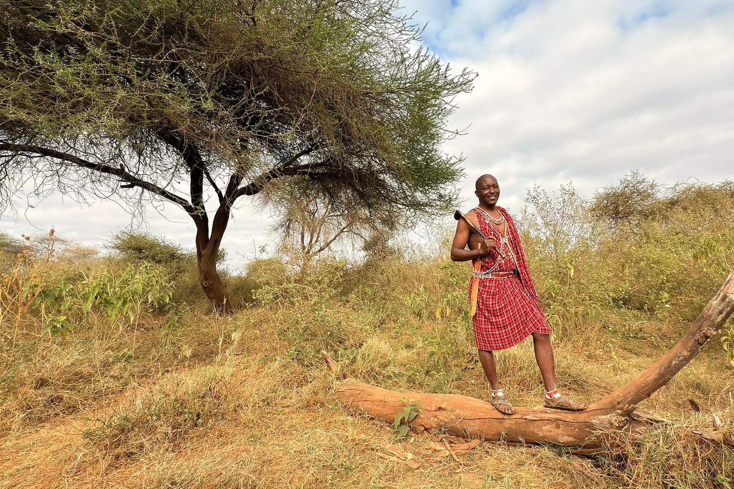 ©mann_david_amboseli