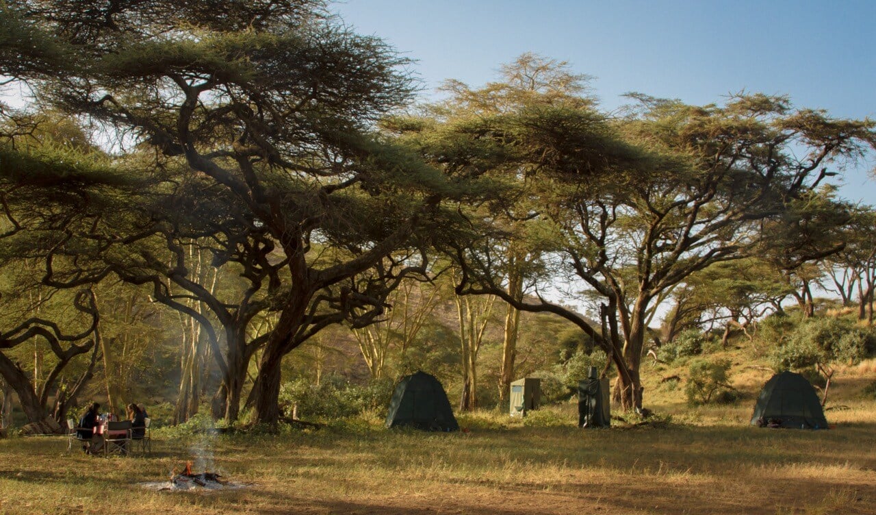 Camp in trees 1 Large