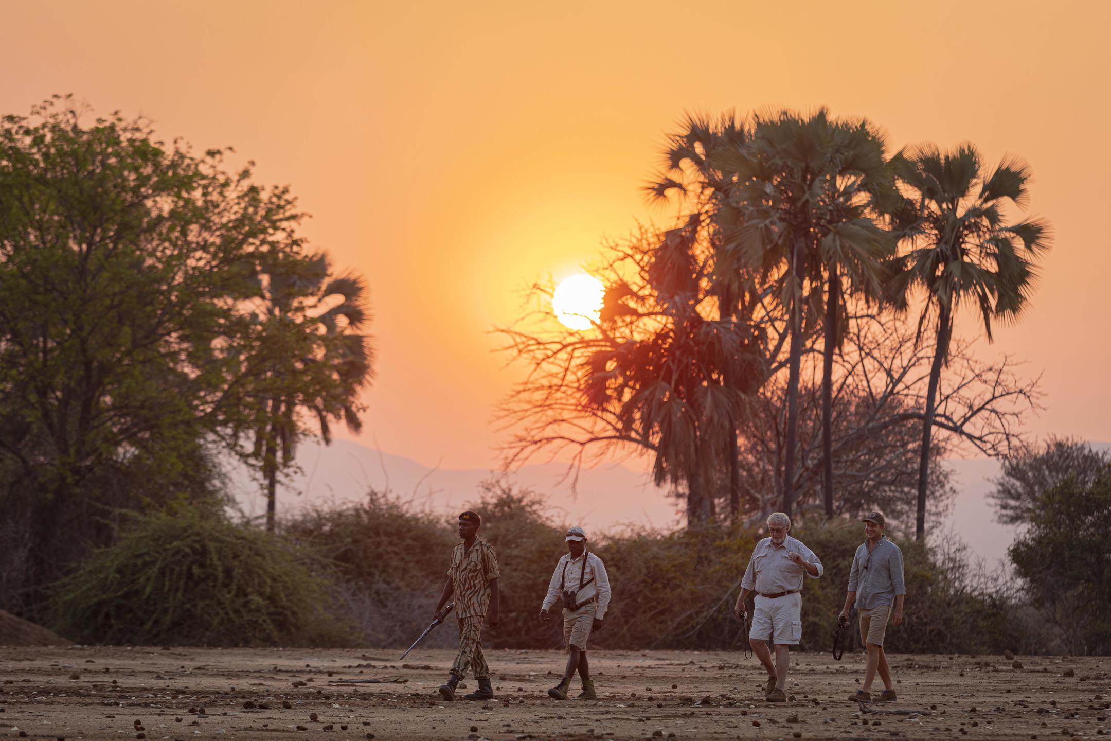 Early morning walking safaris