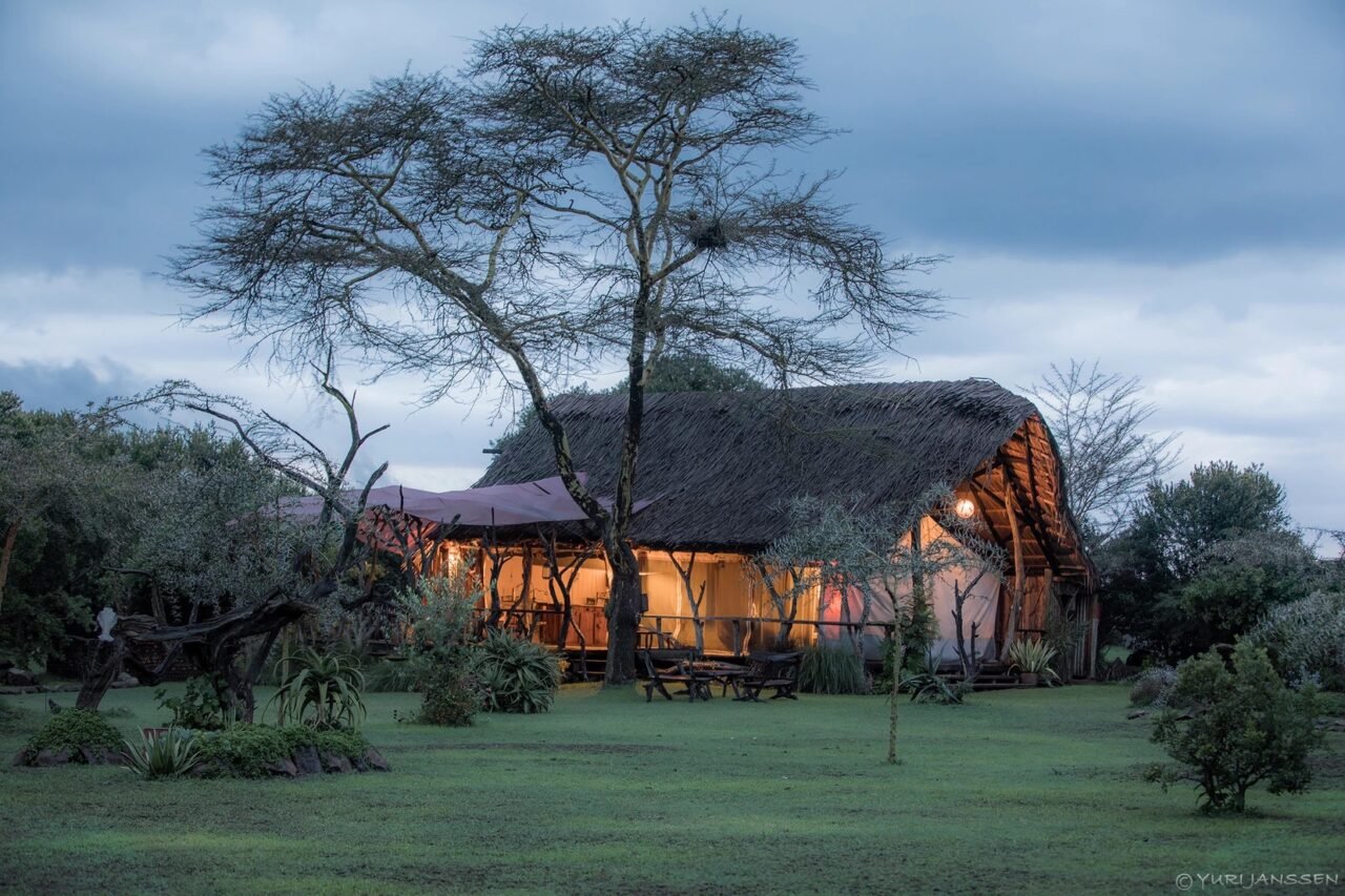 Top 6 Luxury Lodges & Camps in Laikipia