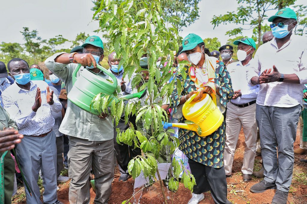 CS Sports Amina Mohamed and CS Environment Keriako Tobiko planting a tree in Kakamega