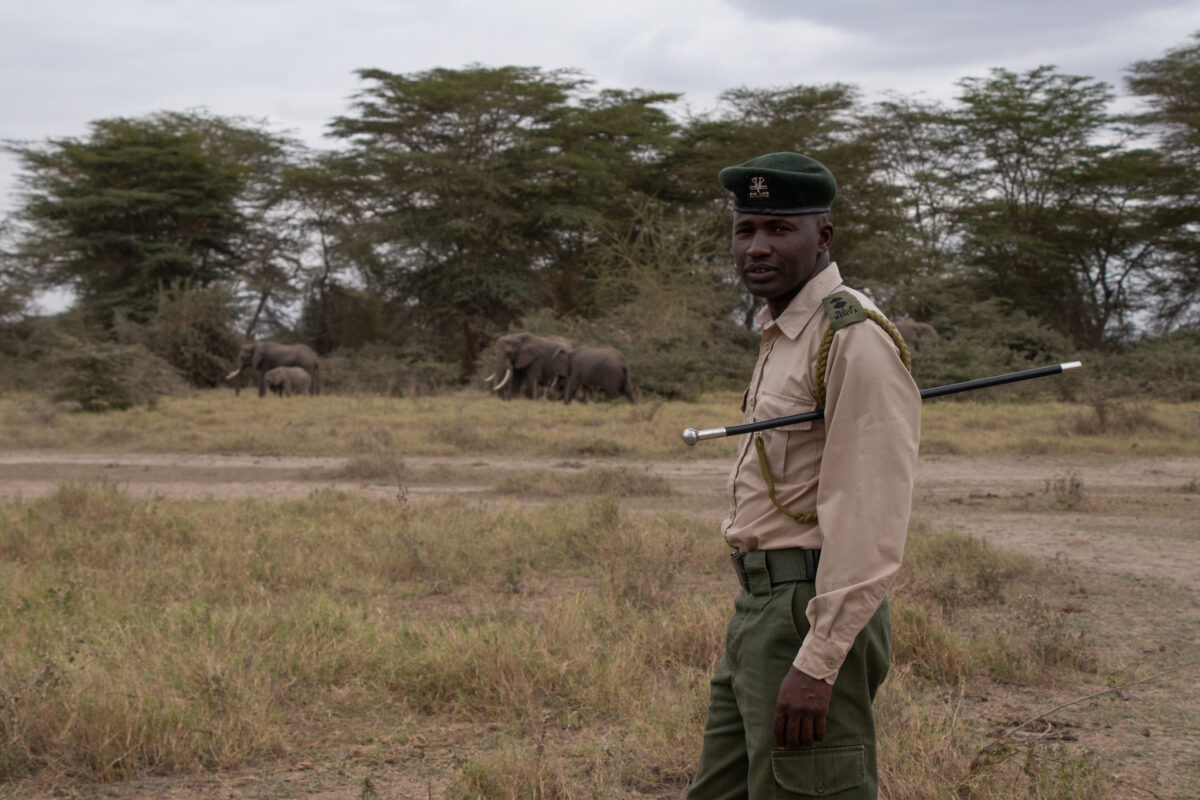 Daniel Popote: A Hero in Wildlife Conservation