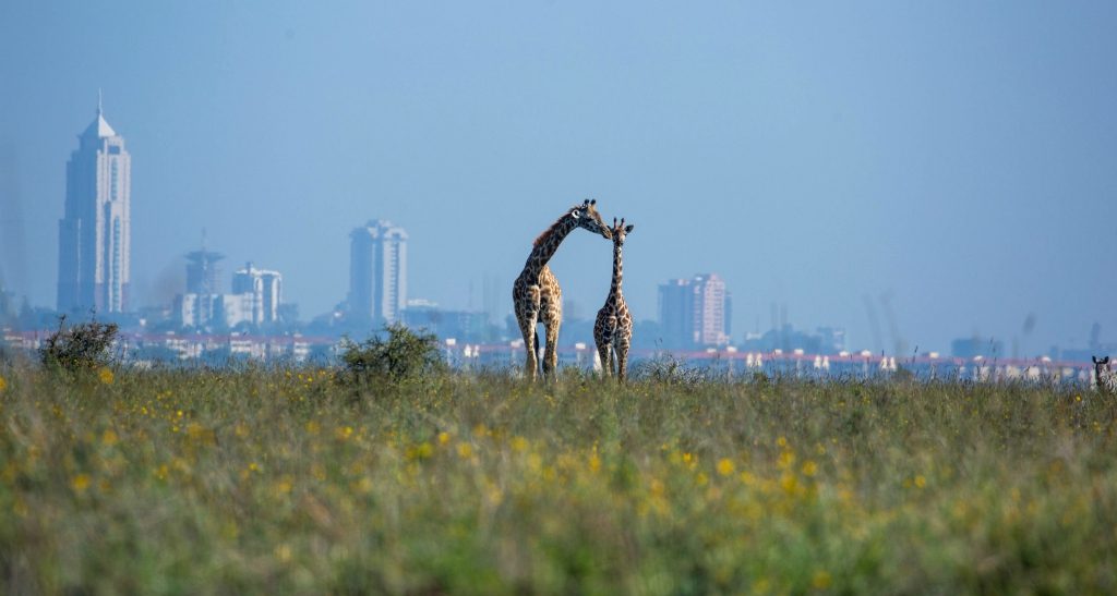 National-Park-Nairobi