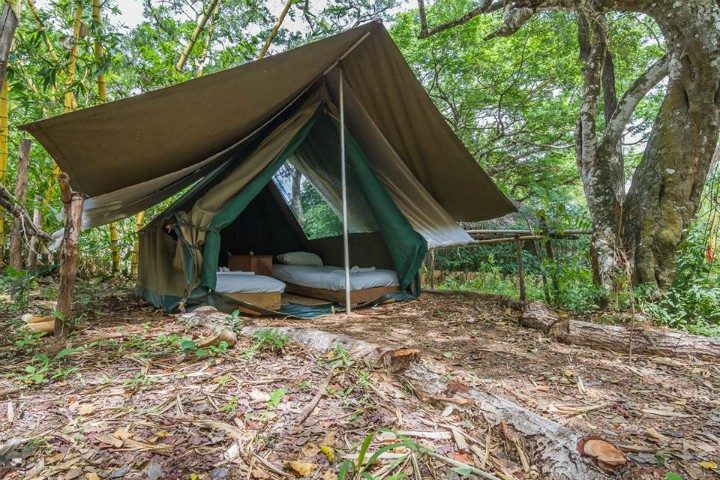 Safari-Tent