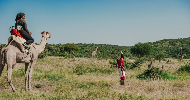 A Camel Safari in Laikipia