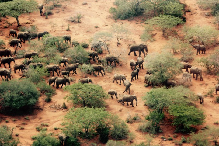 environmental habitat