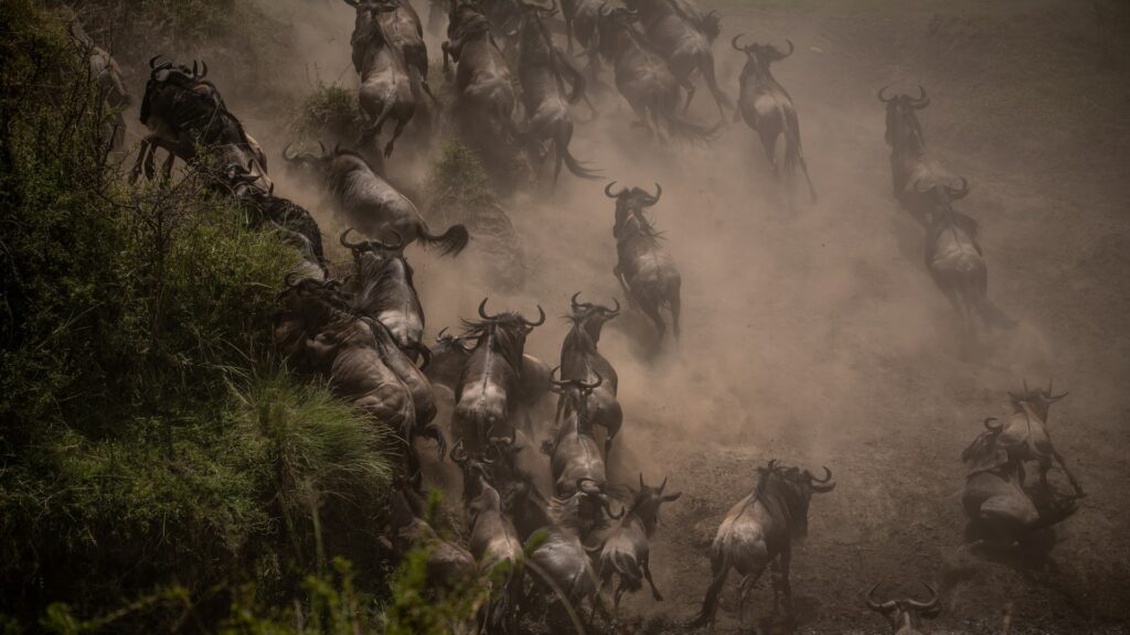 5 Interesting Facts About The Great Migration