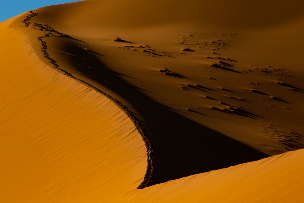 Dancing in The Dunes