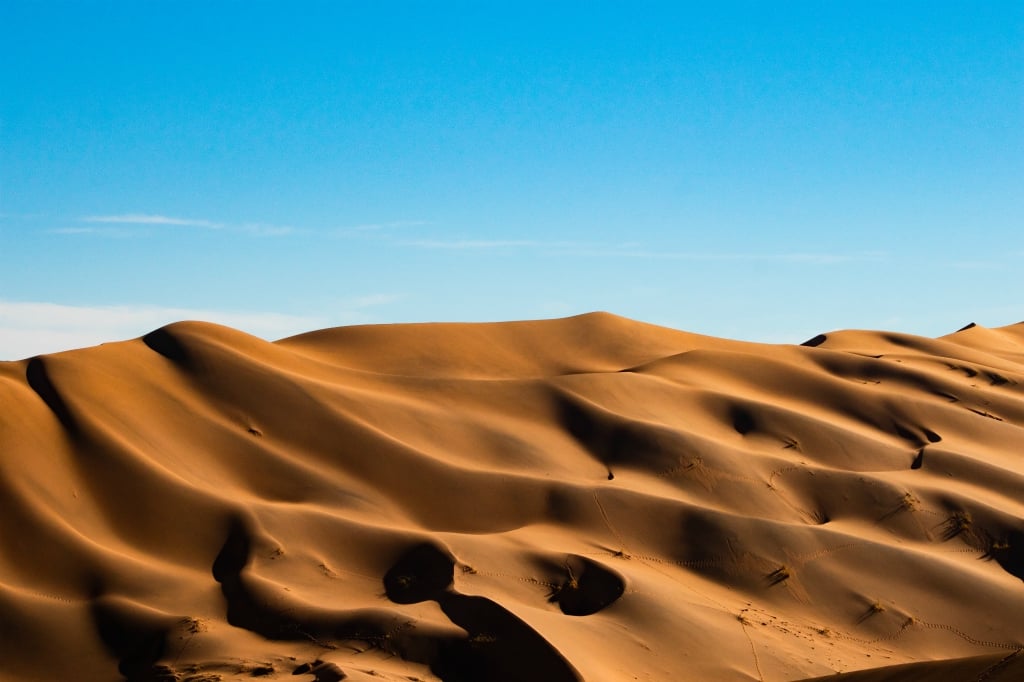 Dancing in The Dunes