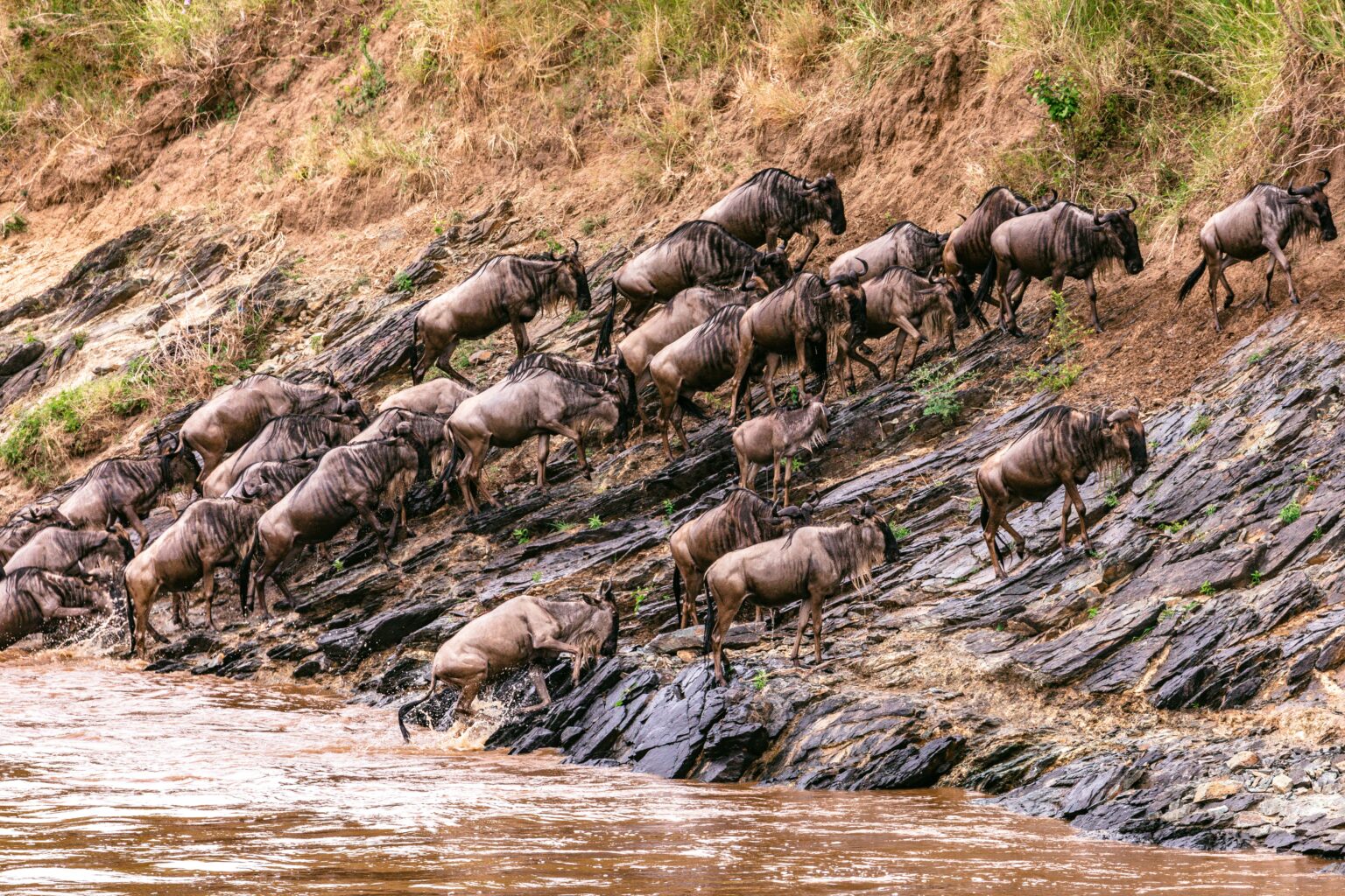 1. Maasai Mara