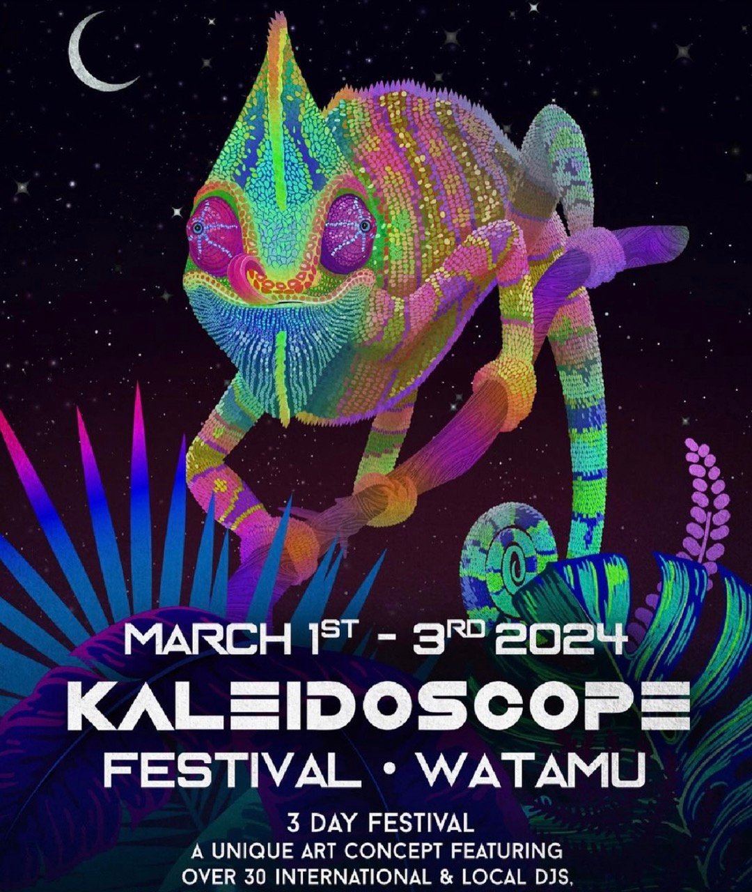 Kaleidoscope festival Large