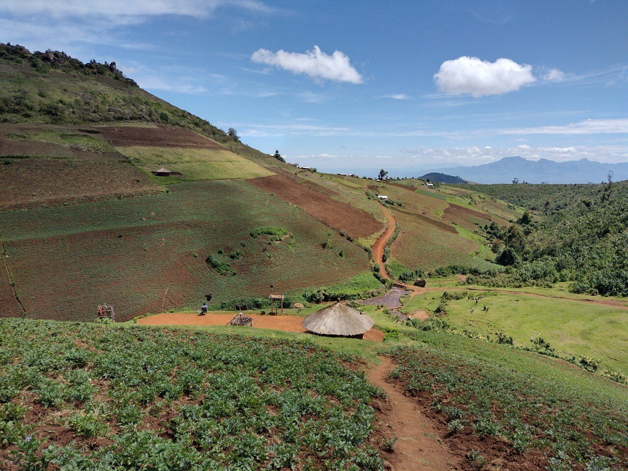 Landscape along the Mosopisiek Trail with Mount Kadam on the horizon. Photo credit Daan Oxener @daan_in_kapchorwa Large