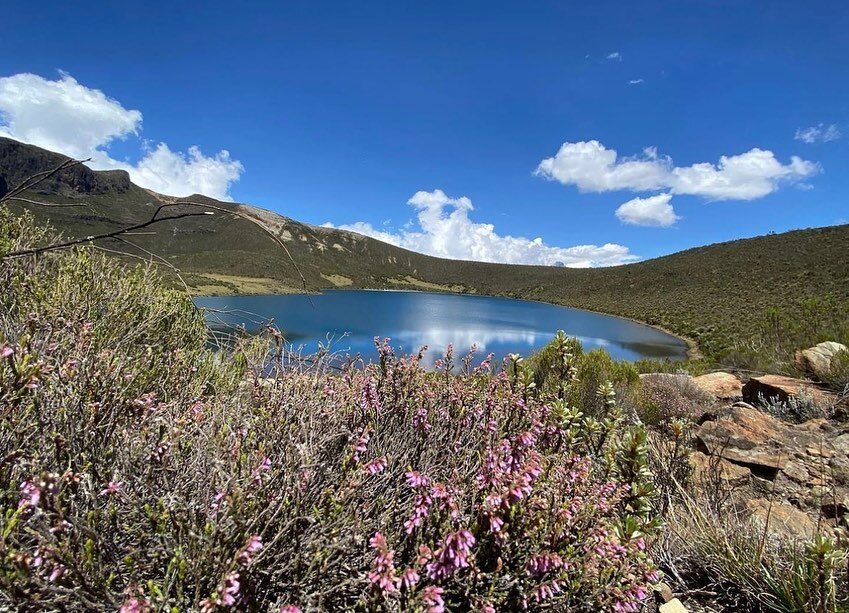 Rutundu Mt Kenya