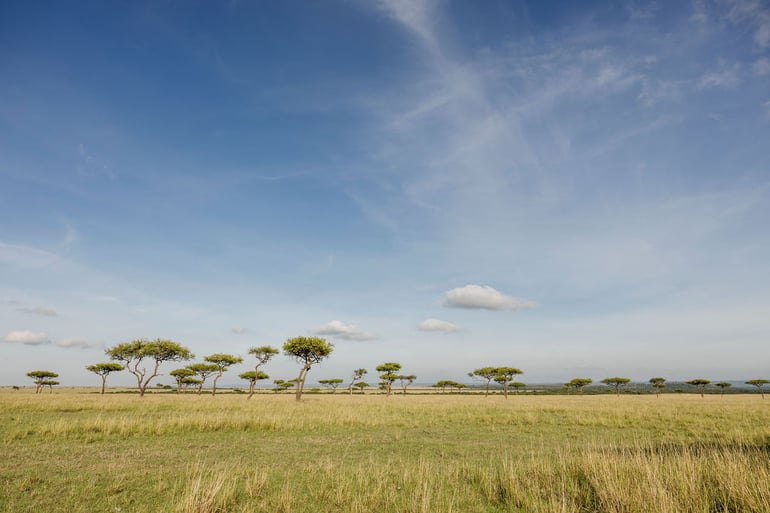 SpinneyontheMara-2343