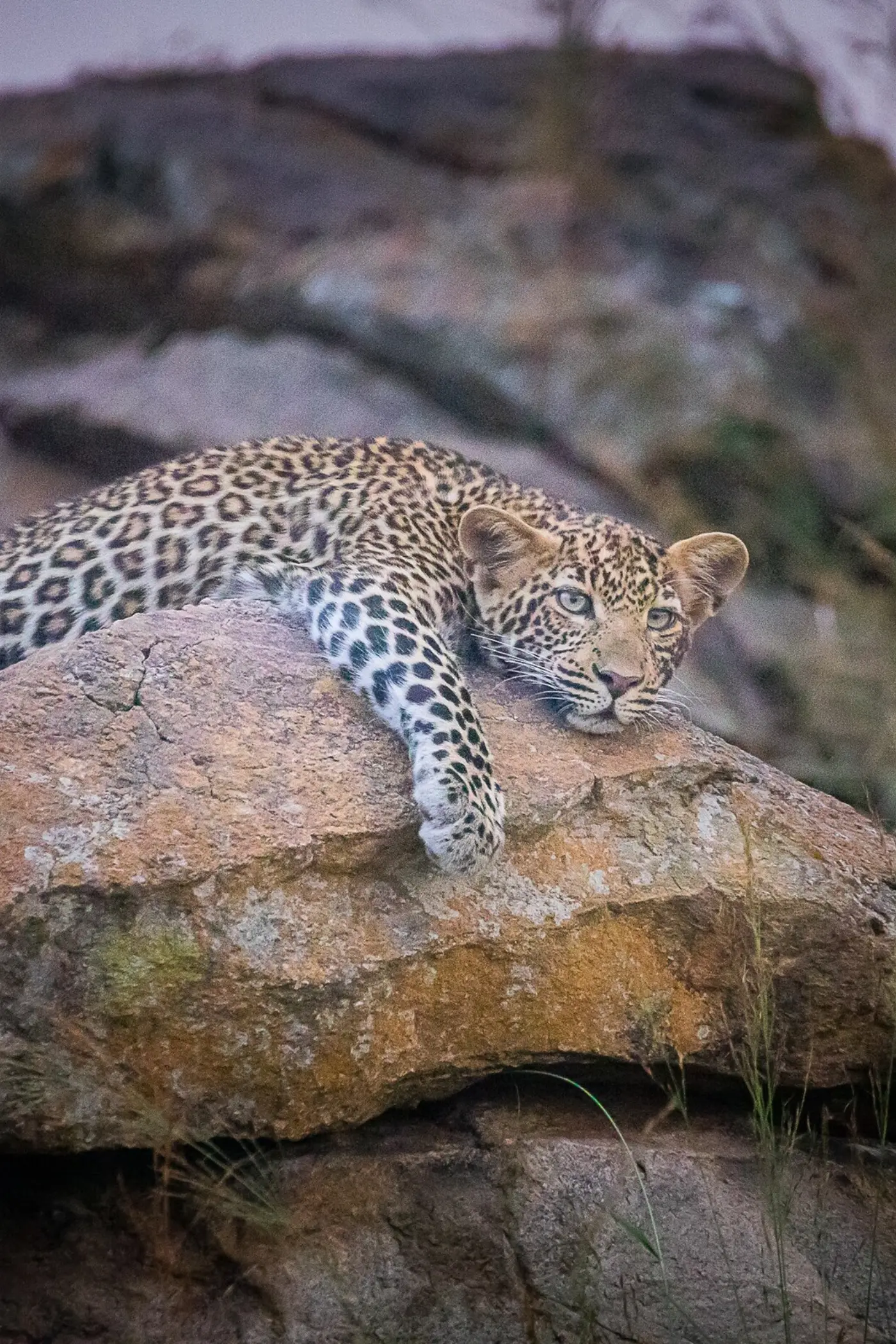 tanzania-wild-culture-3