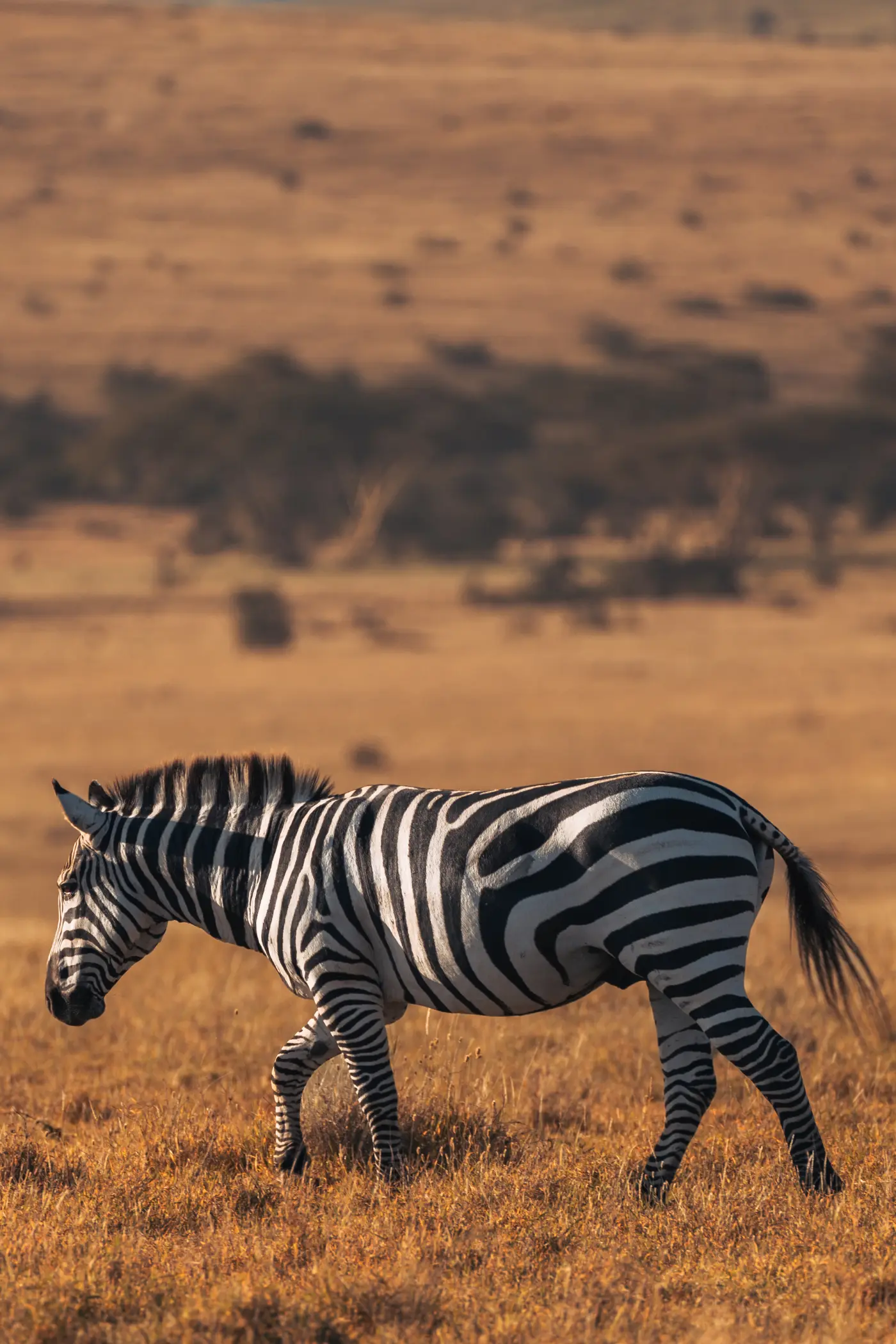 tanzania-wild-culture-7
