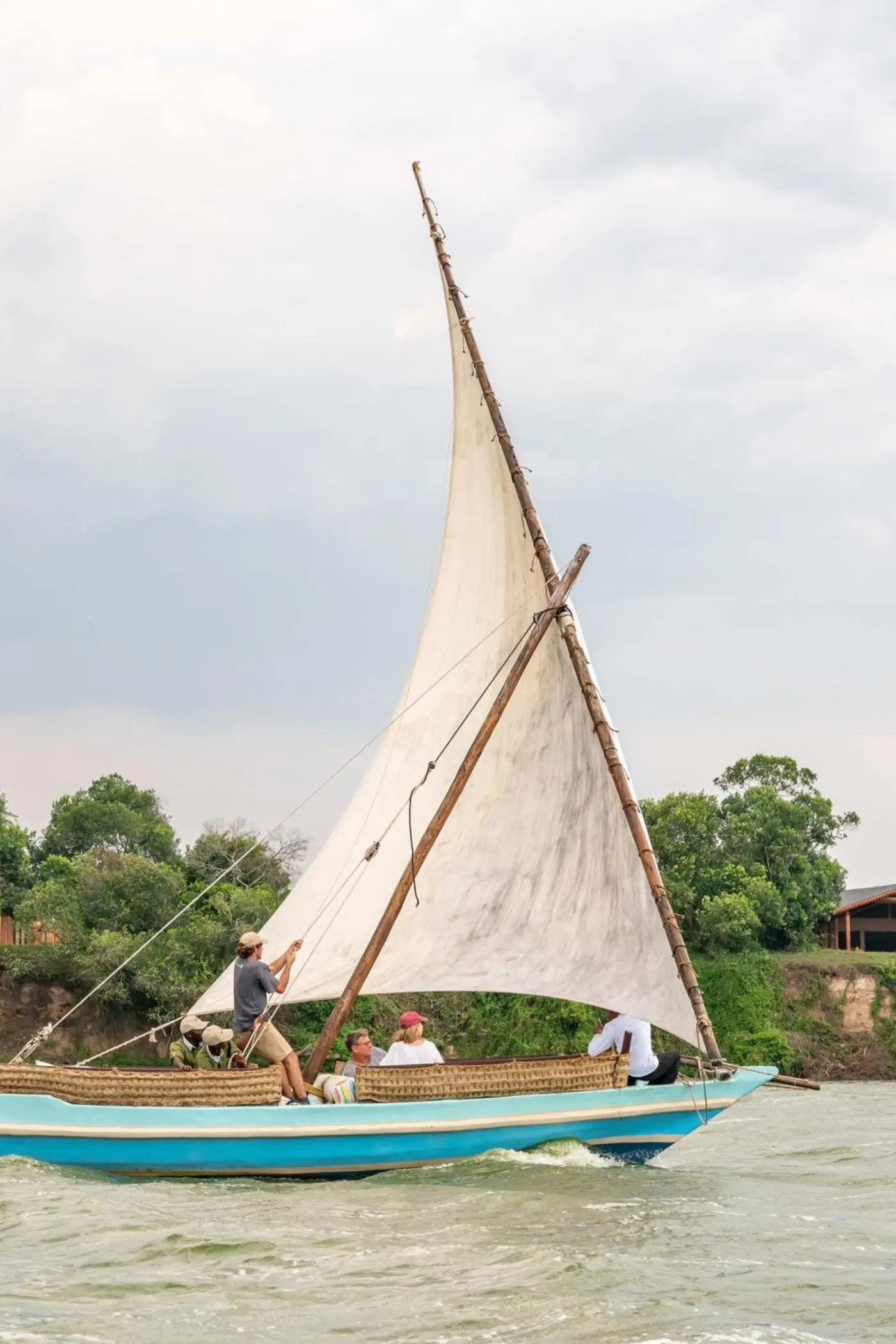 primates-plains-a-forest-to-savanna-safari-adventure-8