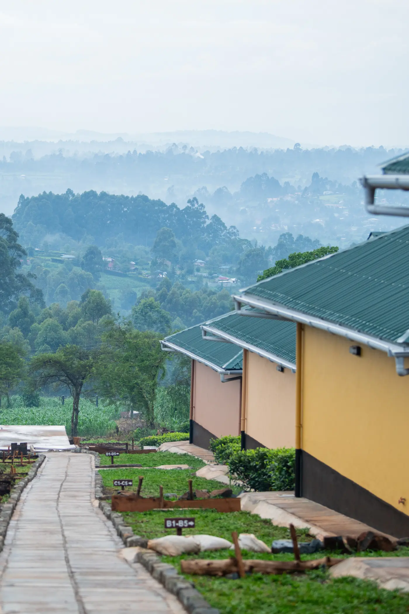 rhinos-waterfalls-running with champions-image-7